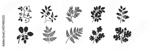 Ten Diverse Leaf Branch Silhouettes on a Transparent Background for Botanical Designs