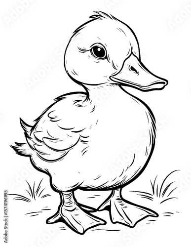cute duck coloring pages