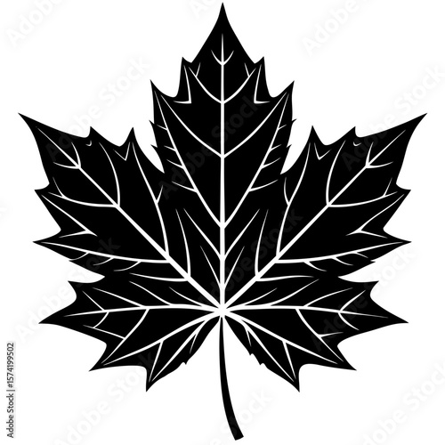 Maple leaf silhouette vector icon in solid black perfect for autumn, Canada symbol, seasonal decoration and nature concepts