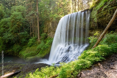 Fototapeta Naklejka Na Ścianę i Meble -  Waterfall in Silver Falls State Park in Oregon.
Summer season, hiking trails without people, romantic landscape with a river and waterfall. Sunny weather.