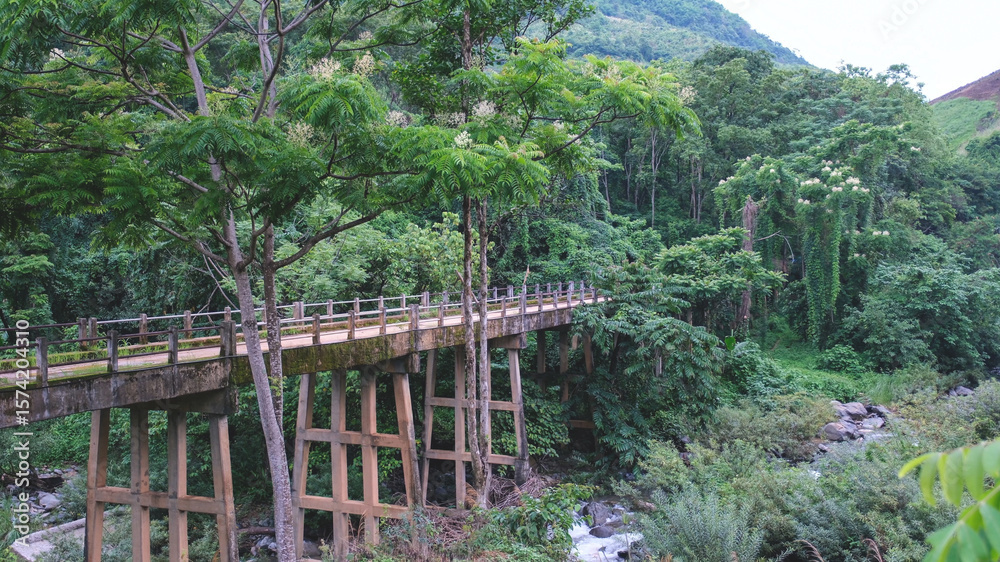 The bridge over the river and the greenery rainforest The bridge over the river and the greenery rainforest