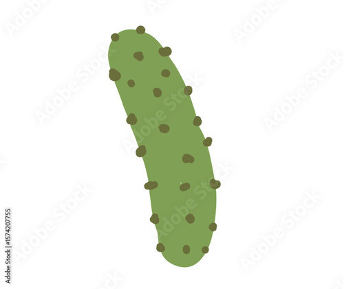 Hand drawn green cucumber with dark spots on white background.