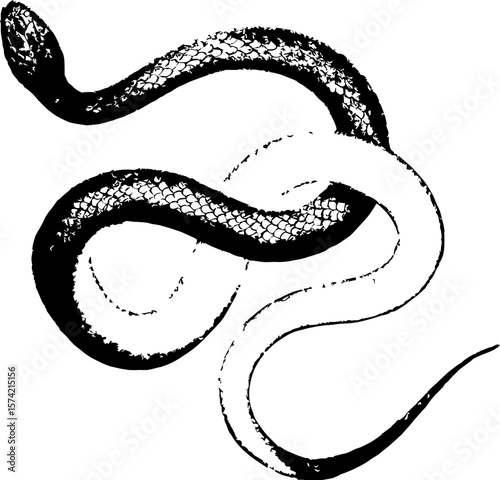 Print effect snake