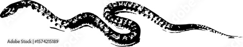 Print effect snake