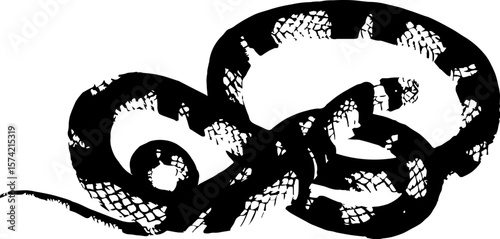Print effect snake