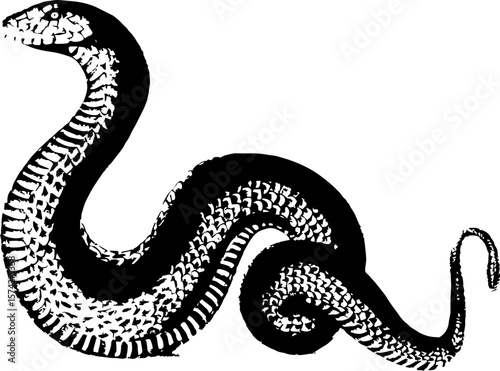 Print effect snake