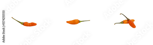 orange chili peppers isolated on transparent background