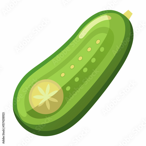 illustration of cucumber
