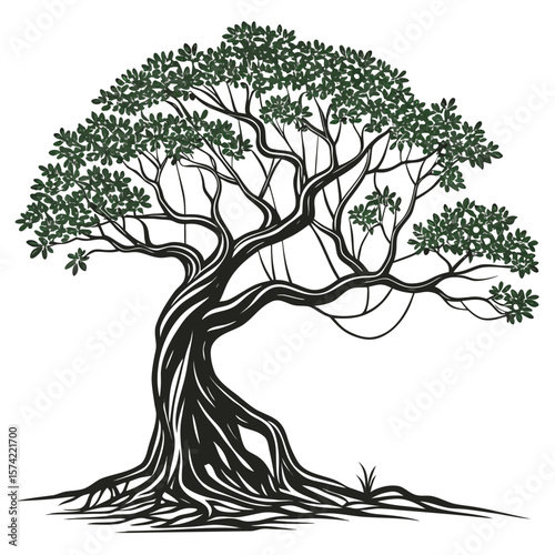Majestic green foliage on a twisting black tree banyan