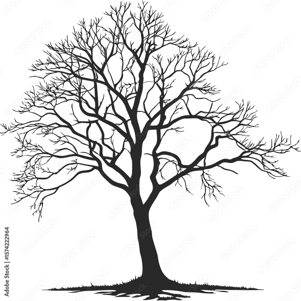 Fototapeta premium Black bare tree silhouette on white leafless