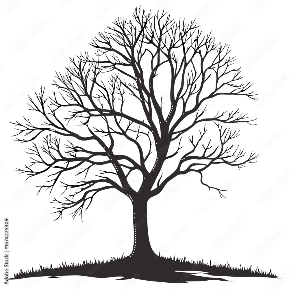 Obraz premium Black silhouette of a bare tree with intricate branches and grass vector