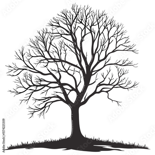 Black silhouette of a bare tree with intricate branches and grass vector