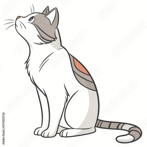 White cat with grey markings looking up feline domestic animal