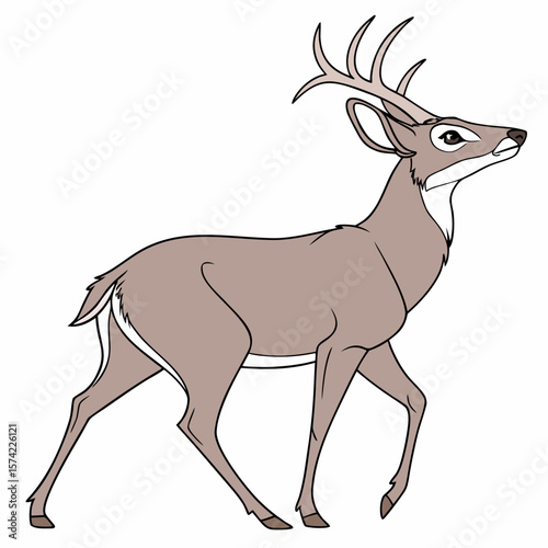 Majestic buck with impressive antlers deer wildlife