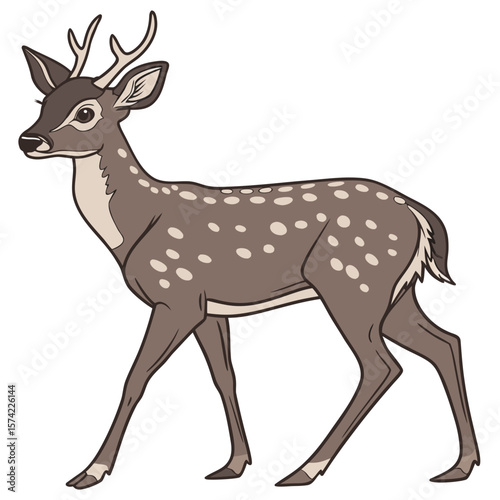 Spotted deer walking gracefully fawn brown