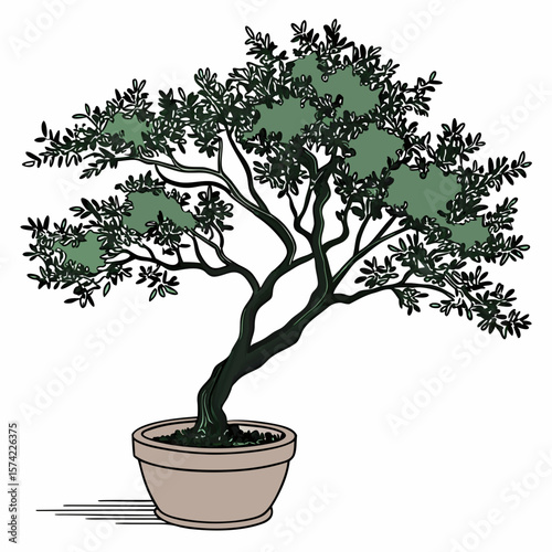Stylized tree in a pot with dark green foliage potted plant bonsai