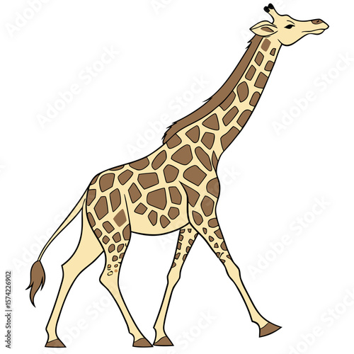 Tall spotted giraffe walking on white animal mammal