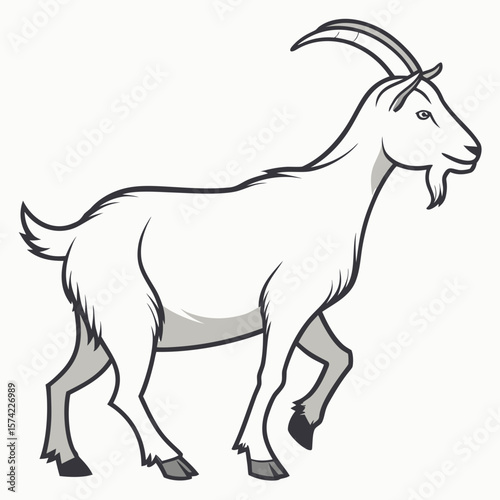 White goat walking on white background animal mammal