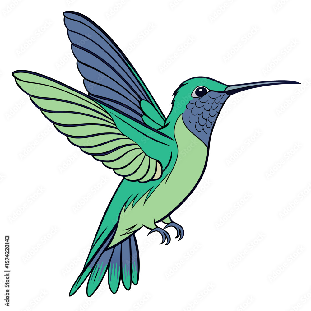 Fototapeta premium Hummingbird with green and blue wings flying nature