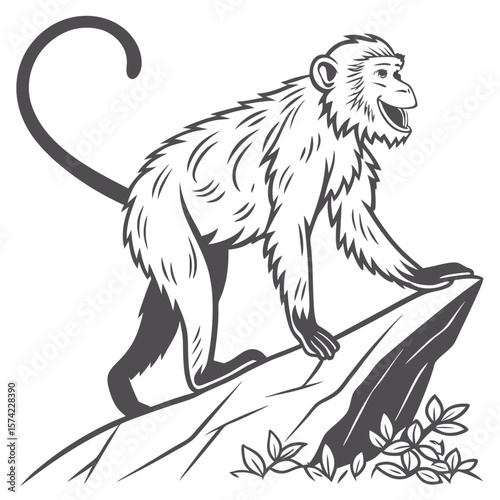 Monkey perched on rock with foliage primate animal