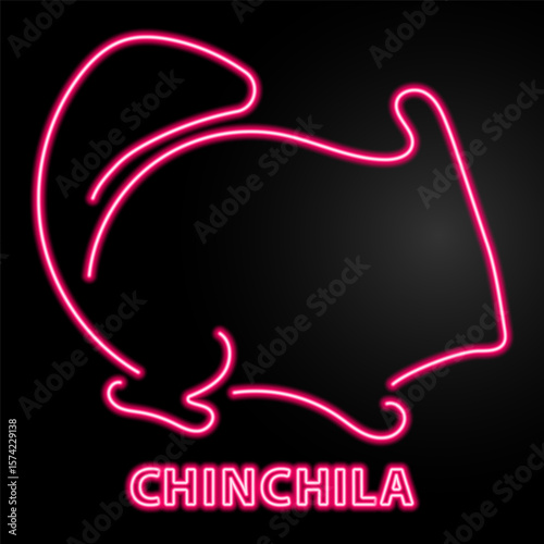 chinchila neon sign, modern glowing banner design, colorful modern design trends on black background. Vector illustration.