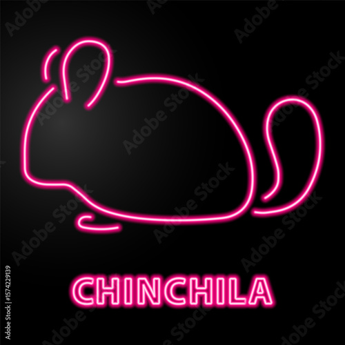 chinchila neon sign, modern glowing banner design, colorful modern design trends on black background. Vector illustration.