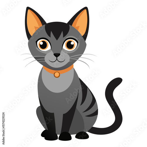 Gray tabby cat with orange collar and big eyes black