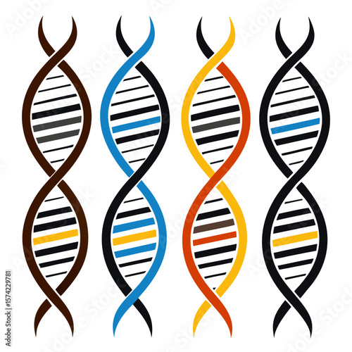 Four colorful abstract D N A strands helix science