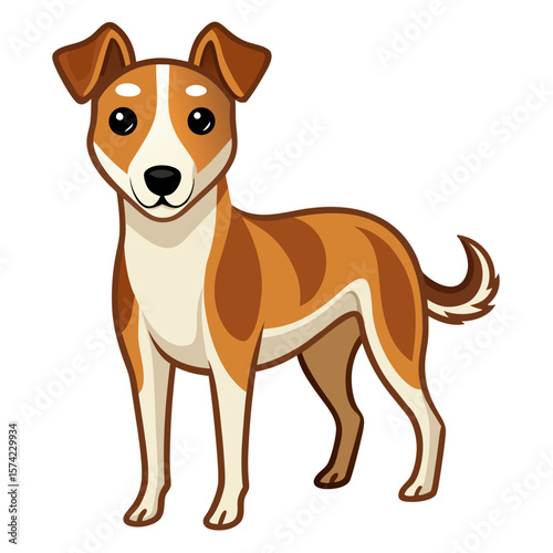 Brown and white dog standing alert canine animal