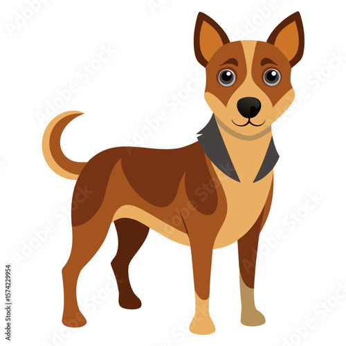 Brown dog with tan markings and collar canine animal