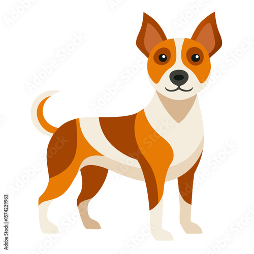 Brown and white dog standing on white background animal canine