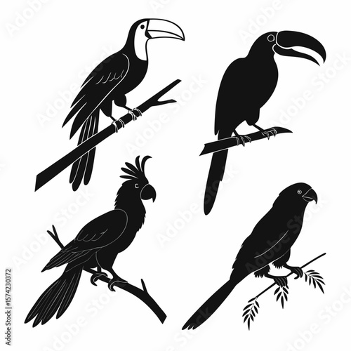 Four rainforest birds perched on branches toucan parrot
