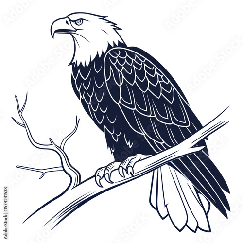 Majestic eagle perched on a bare branch bird wildlife