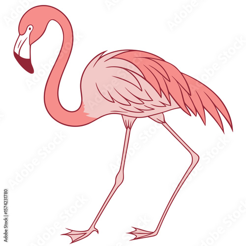 Pink flamingo standing on white background bird animal