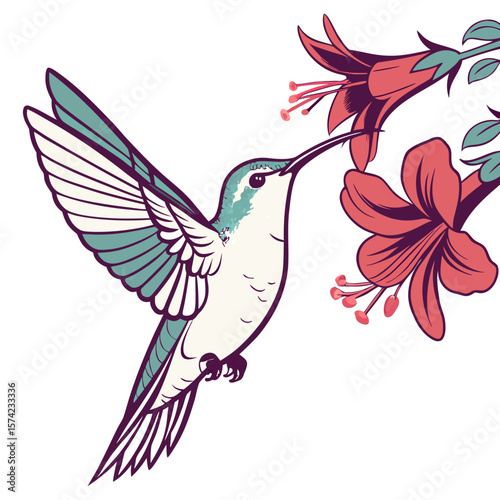 Hummingbird feeding on coral flowers nectar wings