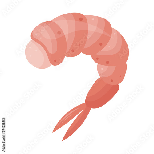 Shrimp illustration on transparent background. Shrimp icon. Design element for cooking theme, restaurants, cafe, outdoor cooking, posters, patterns, logos. Flat cartoon style.Vector design
