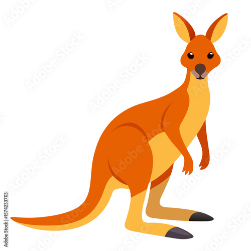 Orange kangaroo standing on white background marsupial animal