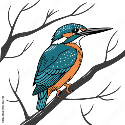 Blue orange kingfisher perched on branch bird