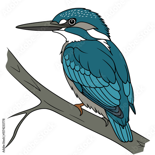 Blue kingfisher perched on a branch bird teal