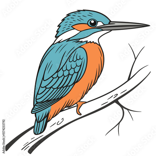 Blue and orange kingfisher perched on a branch bird