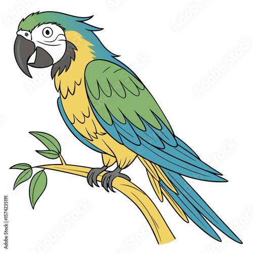 Blue and yellow macaw perched on a branch parrot bird