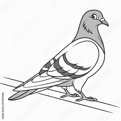 Pigeon perched on a wire bird grey