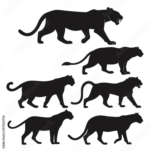 Six black wild cat silhouettes on white tiger panther