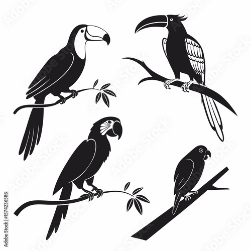 Toucans and parrots perched on branches macaw bird