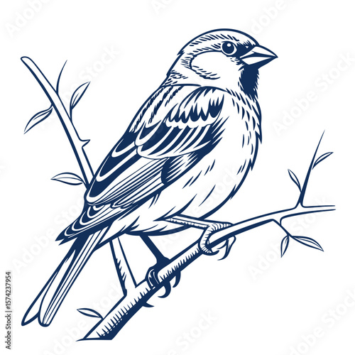 Sparrow perched on a branch bird twig