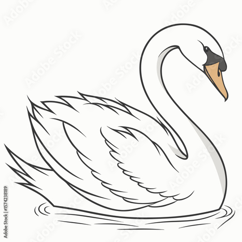 Elegant white swan swimming gracefully bird water