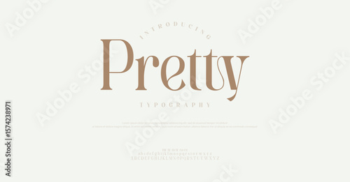 Pretty Modern sans serif alphabet letters font and number. Typography Beauty fashion luxury classic letters serif fonts decorative wedding vintage retro font and logos. vector illustration
