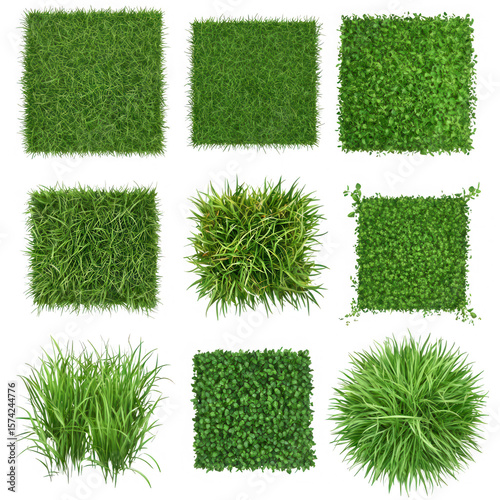 Various green grass textures nature lawn