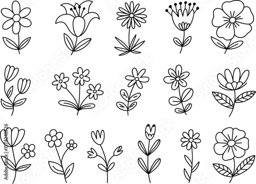 Variety of Floral Outline Drawings: Simple Botanical Illustrations for Nature Themes.