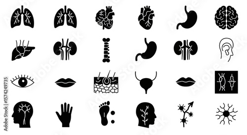 Collection of black and white anatomical icons representing various human body parts and systems.